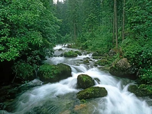 水果批发市场进货渠道，附近水果批发市场在哪里